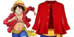 one piece cosplay luffy