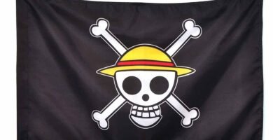Catálogo de las Mejores Banderas Pirata de One Piece 2024