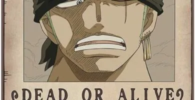 CARTEL WANTED RORONOA ZORO