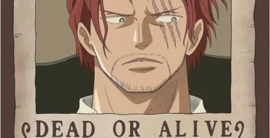 CARTEL WANTED AKAGAMI NO SHANKS