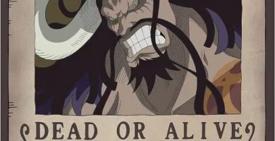 CARTEL WANTED KAIDO