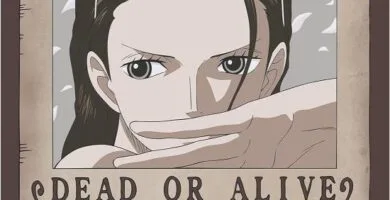 CARTEL WANTED NICO ROBIN