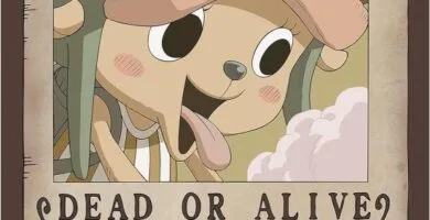 CARTEL WANTED TONY TONY CHOPPER