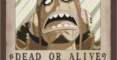 CARTEL WANTED GOD USOPP SOGEKING cartel de usopp recompensa usopp usopp one piece cartel