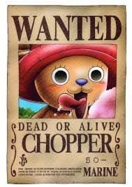 CHOPPER WANTED