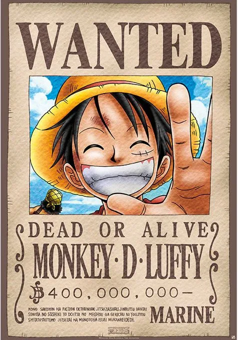 cartel luffy wanted