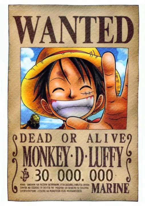 posters de se busca one piece