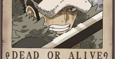 wanted trafalgar law