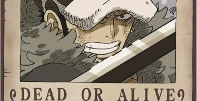 wanted trafalgar law