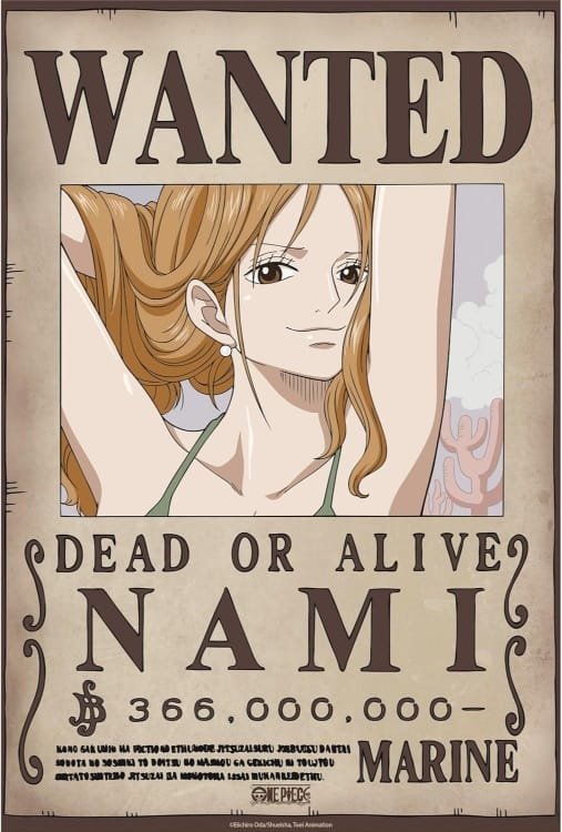 366.000.000 cartel de recompensa de Nami Actual