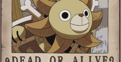 Cartel de One Piece Wanted Franky recompensa