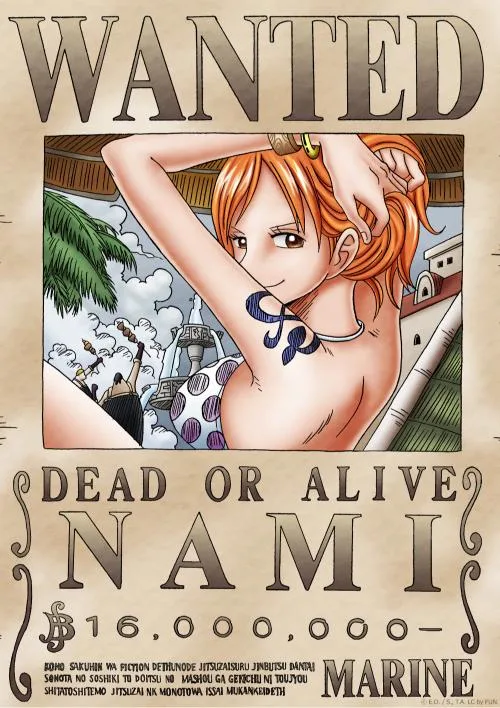poster one piece nami