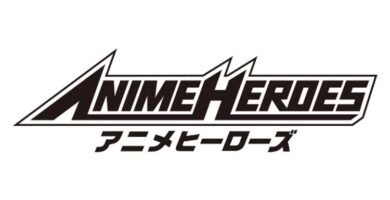 anime heroes one piece